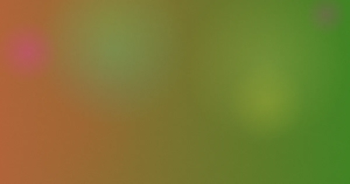 成年电影网测评：避坑流程